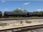 CTCX 207837